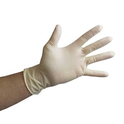 Ansell Encore Latex Sterile Surgical Gloves</h1>